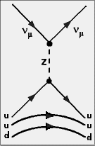 ein semileptonischer schwacher Prozess (Neutrino an Proton gestreut)