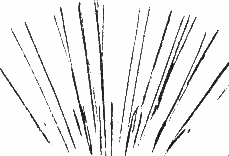 entwickeltes Bild einer Kernspurplatte mit Teilchenspuren