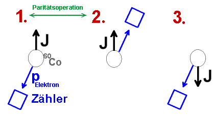 Prinzipskizze zum Experiment von Wu et al.